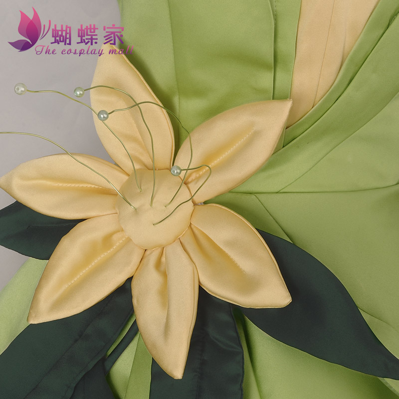 Prinses Tiana Jurk Cosplay Kos - Women'S Accessories H&M recensie en prijs